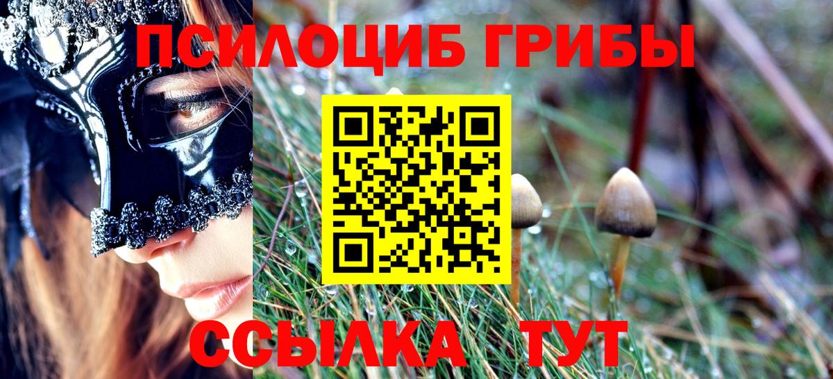 Галлюциногенные грибы Cubensis Дятьково