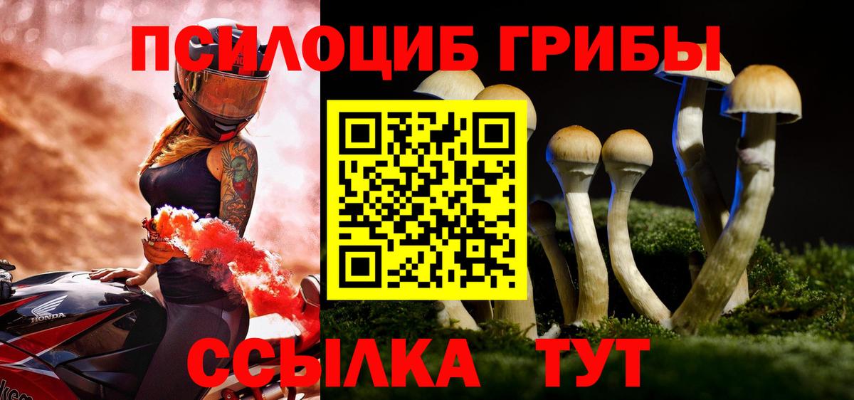 Псилоцибиновые грибы мицелий  Галлюциногенные грибы Psilocybine cubensis  Вход с VPN  Дятьково 